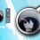 4 Gadgets de Another
